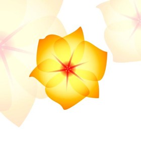 Векторная: Альбом2