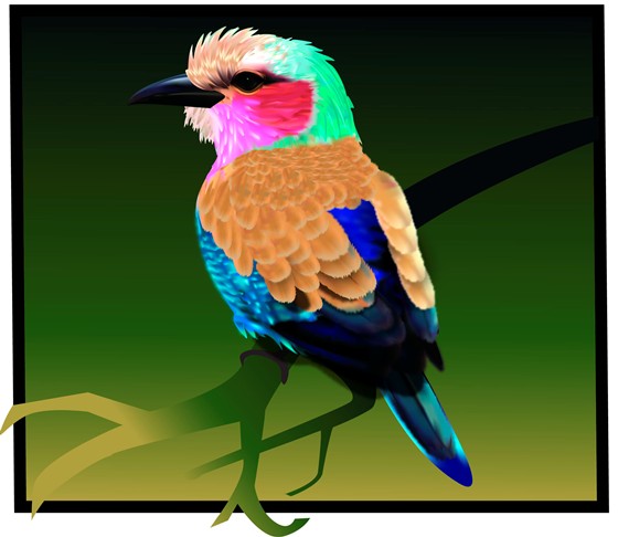 Векторная: Альбом2